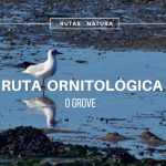 ruta_ornitologica_ogrove
